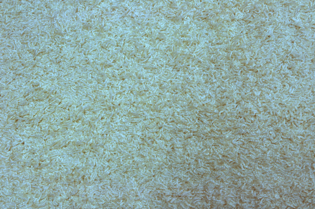 Alfombra blanca EDELWEISS image 1
