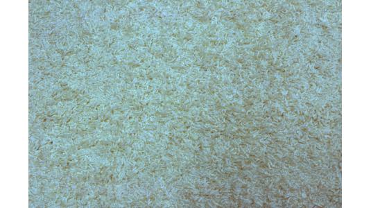 Alfombra blanca EDELWEISS image 1