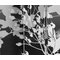 Biombo 3 partes FLORA madera y tela