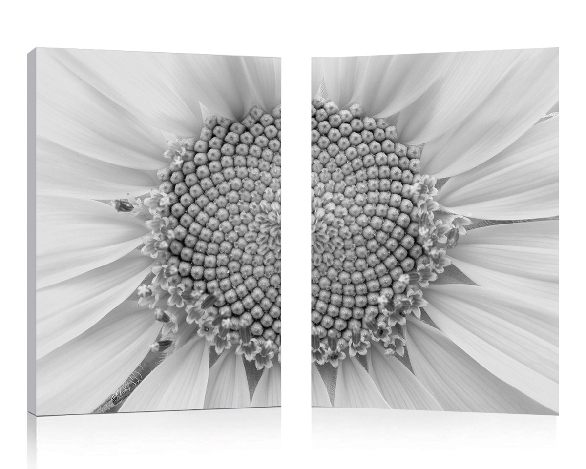 Conjunto de 2 cuadros de dise&ntilde;o DAISY