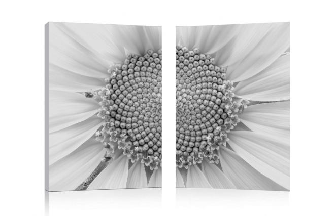 Conjunto de 2 cuadros de dise&ntilde;o DAISY