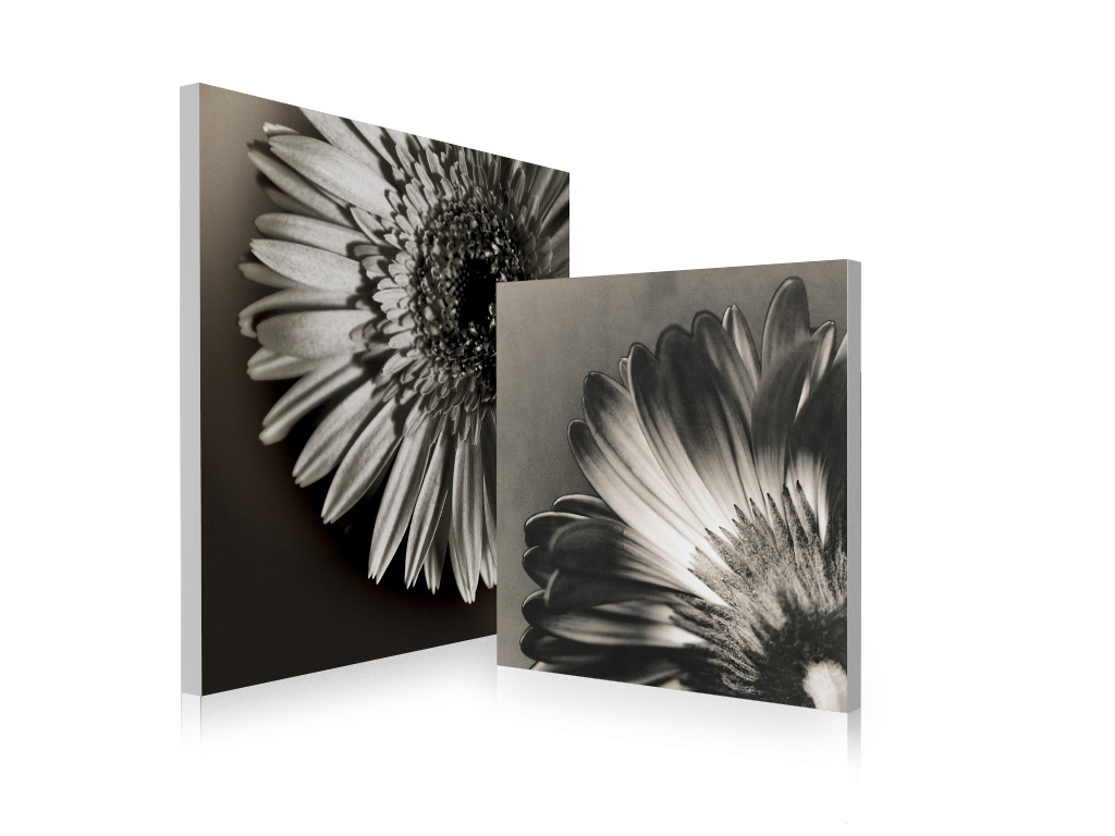 Conjunto de 2 cuadros de dise&ntilde;o FLOWERS