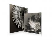 Conjunto de 2 cuadros de dise&ntilde;o FLOWERS