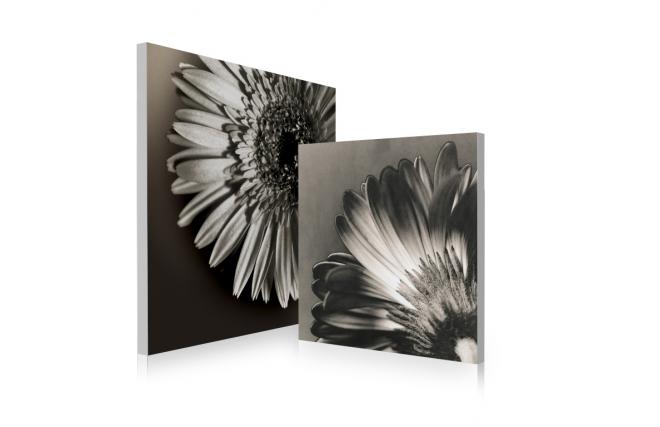 Conjunto de 2 cuadros de dise&ntilde;o FLOWERS