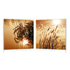 Conjunto de 2 cuadros de dise&ntilde;o SEPIA image pub1