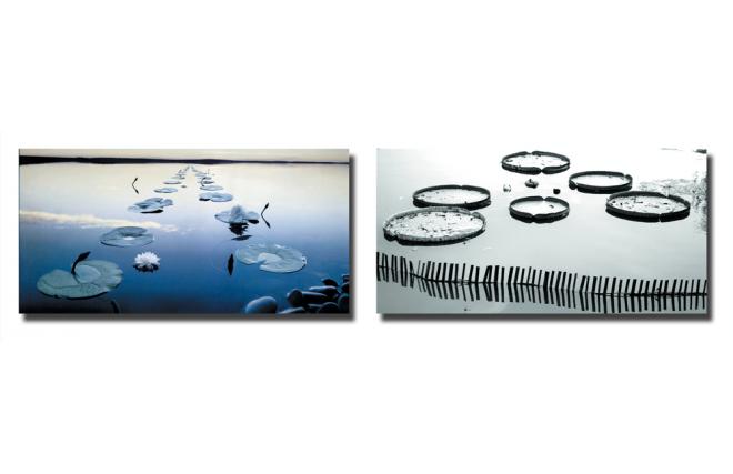 Conjunto de 2 cuadros de dise&ntilde;o WATERLILY