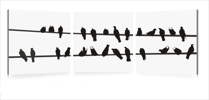 Conjunto de 3 cuadros de dise&ntilde;o BIRDS