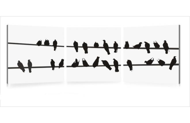 Conjunto de 3 cuadros de dise&ntilde;o BIRDS