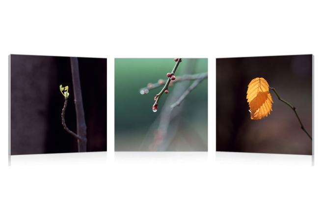 Conjunto de 3 cuadros de dise&ntilde;o BUDS