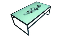 Mesa de sal&oacute;n  rectangular FLOWER