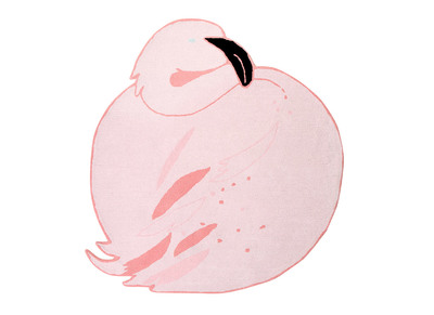 Alfombra infantil 150x160cm FLAMINGO - Alfombra infantil 150x160cm FLAMINGO