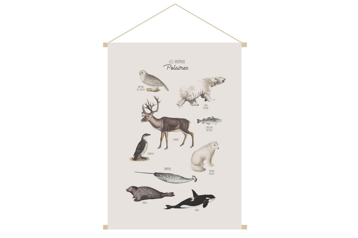 Kakemono infantil con ilustración de animales polares 40 x 60 cm POLAR