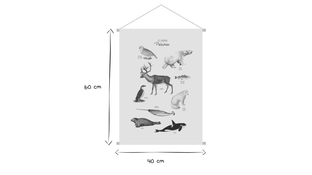 Kakemono infantil con ilustracin de animales polares 40 x 60 cm POLAR