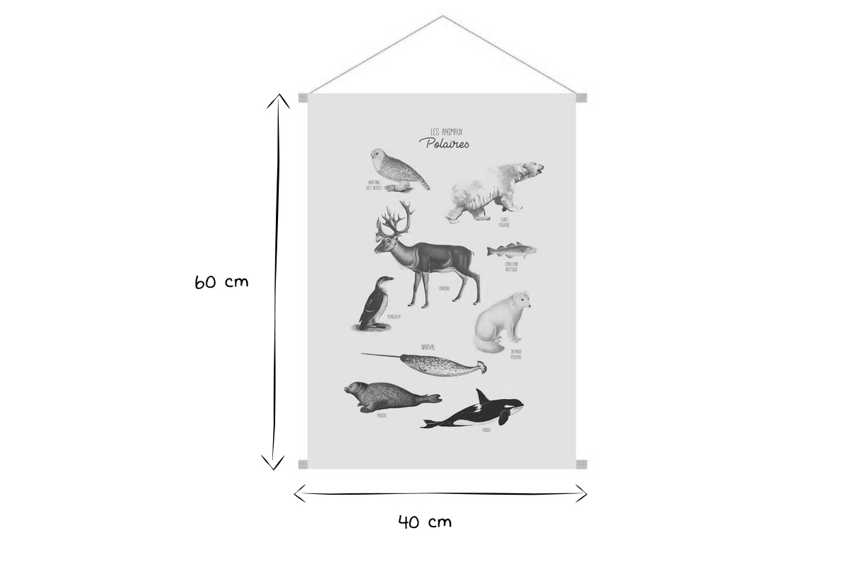 Kakemono infantil con ilustración de animales polares 40 x 60 cm POLAR