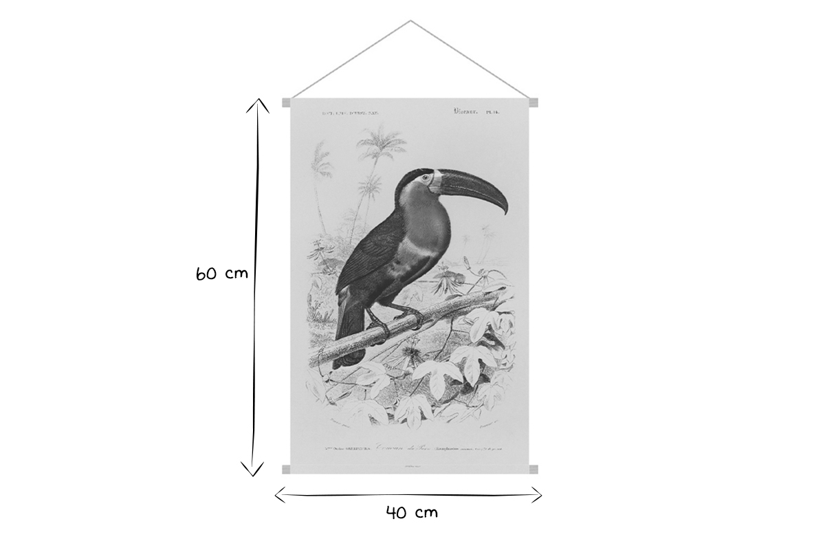 Kakemono tucn 40 x 60 cm TOUCN
