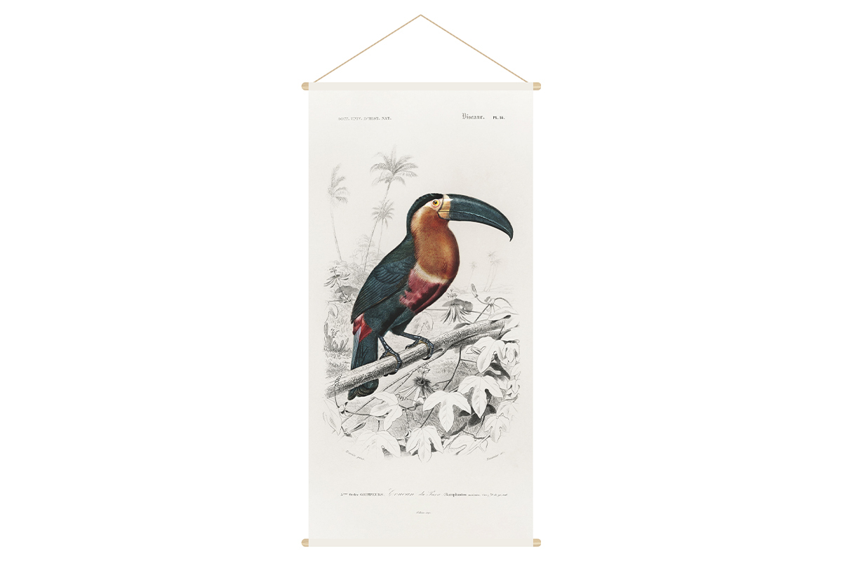 Kakemono tucn 65נ130cm TOUCAN
