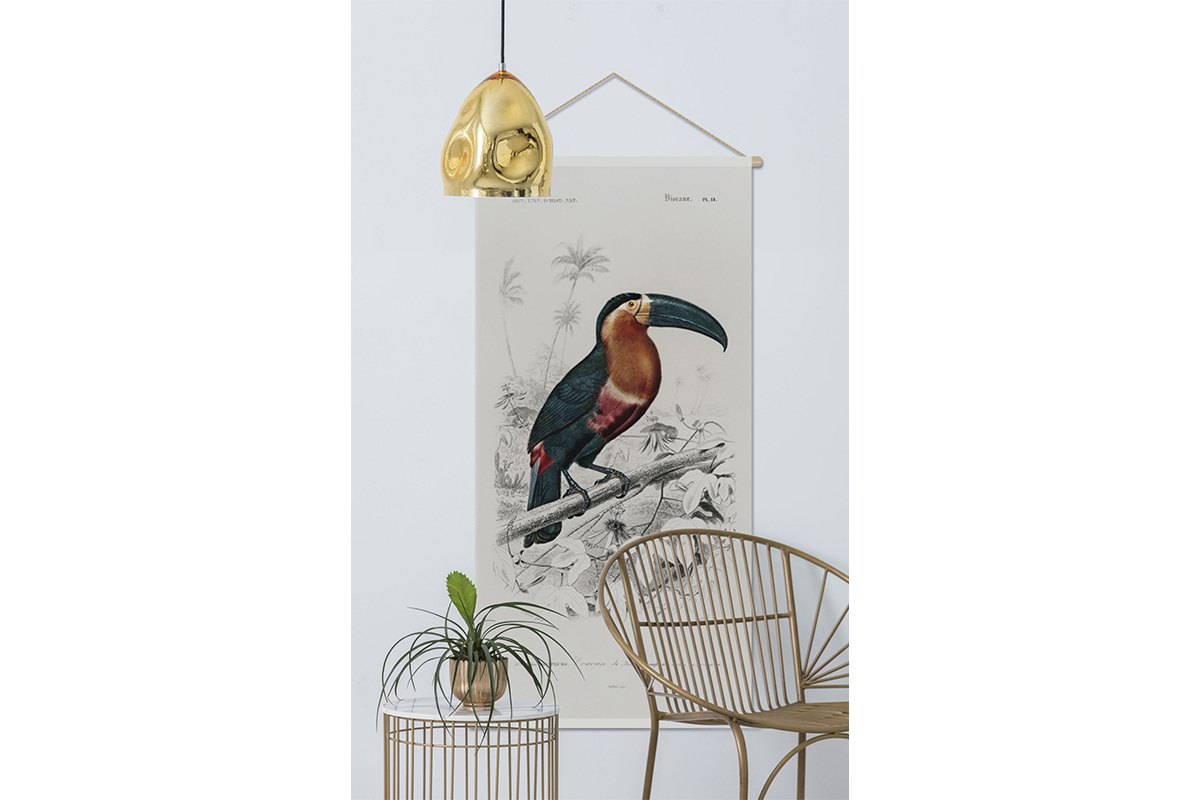 Kakemono tucn 65נ130cm TOUCAN